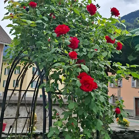 Beat And Bloom Lostallo