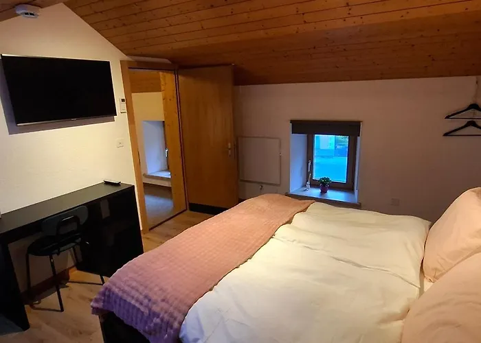 Beat And Bloom * Lostallo