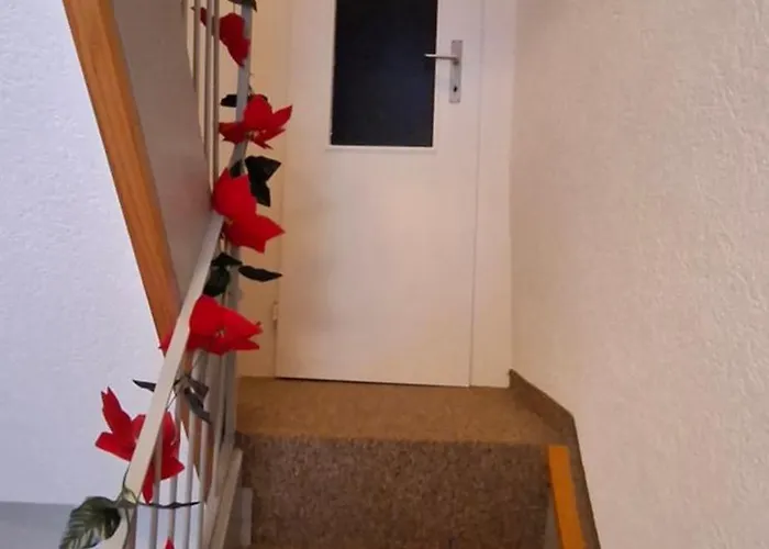 Bed & Breakfast Beat And Bloom Lostallo