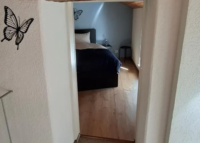 Beat And Bloom Lostallo