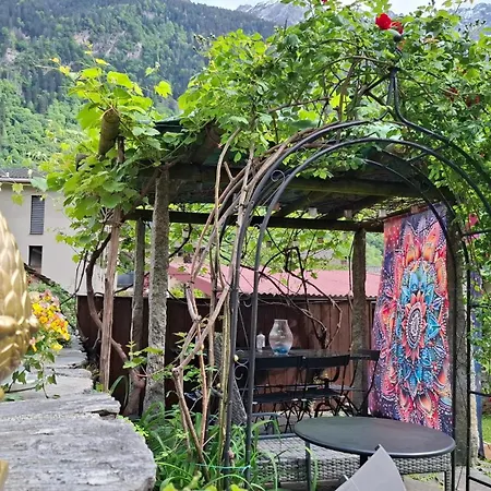 Bed & Breakfast Beat And Bloom