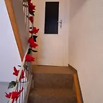 Bed & Breakfast Beat And Bloom Lostallo